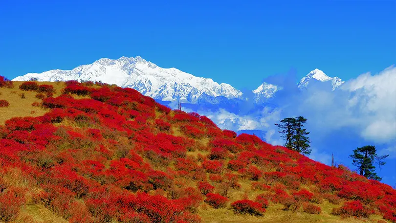 sikkim tourism best place to visit