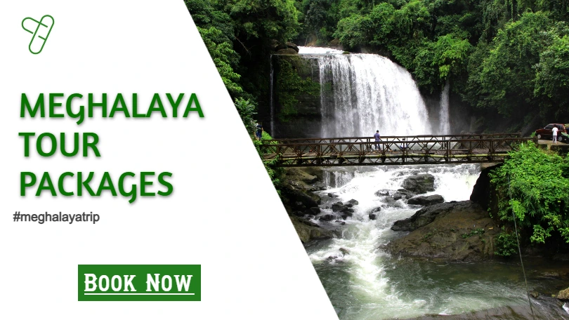 How Much Does a Meghalaya Trip Package Cost?